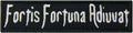 Fortis Fortuna Adiuvat Fortune Favors the Brave Morale Tactical Patch Embroidered Applique Fastener Hook & Loop Emblem